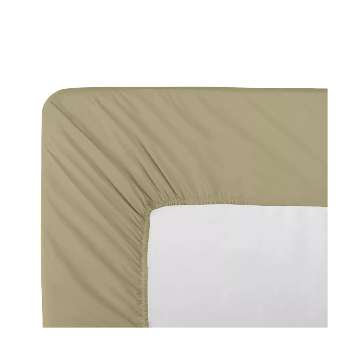 Drap housse b40 percale de coton uni beige La percale francaise champagne