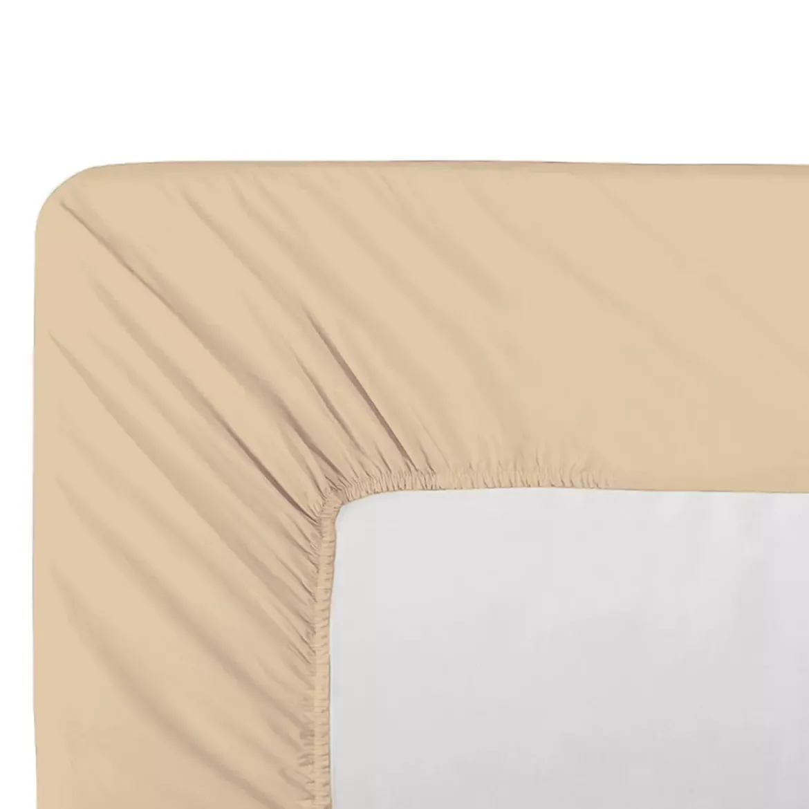 Drap housse b35 percale de coton uni beige Giulia stone