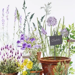 Set vinyle 860 g/m² imprimé vert violet Jardin aromatique provence