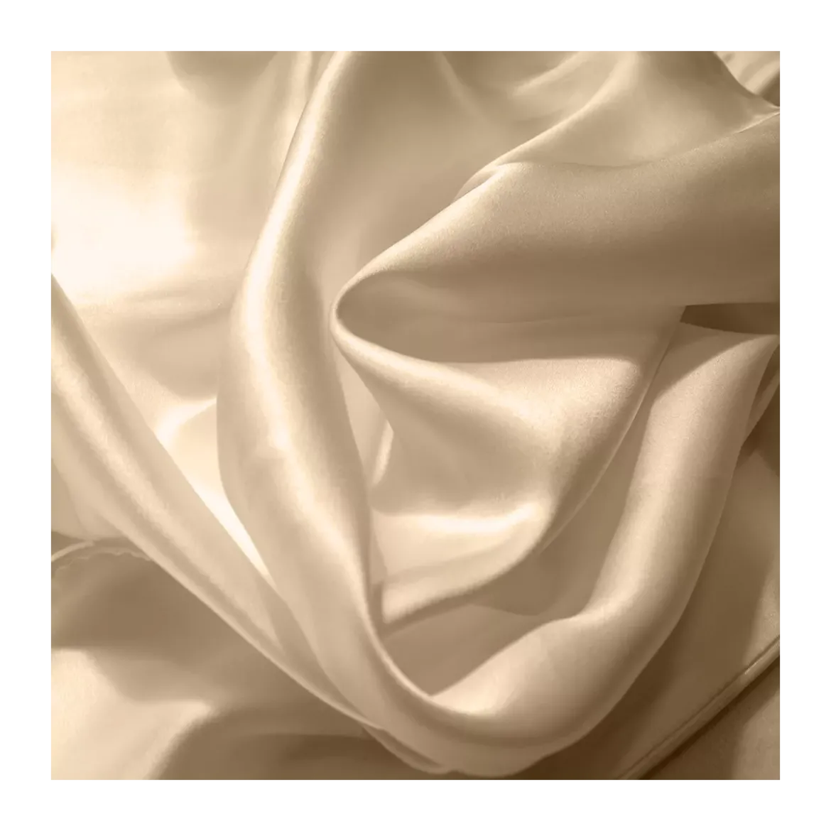 Taie d'oreiller soie uni beige Jouvence champagne