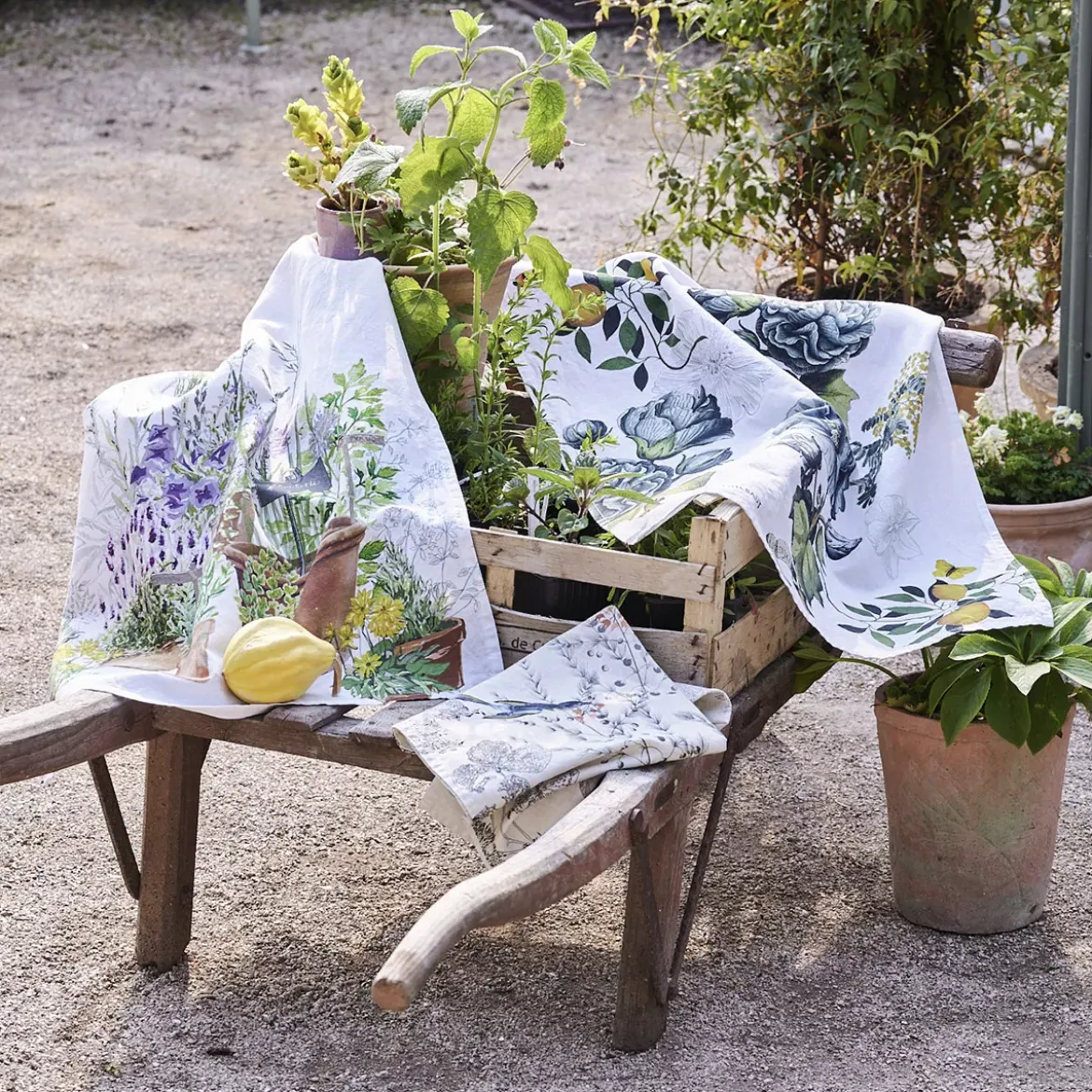 Torchon lin & coton lavé 190 g/m² imprimé multicolore Jardin aromatique provence